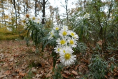 dscn3771