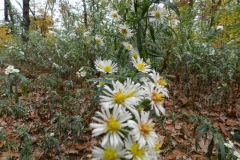 dscn3772