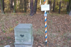p1000049