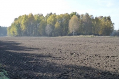 p1000053