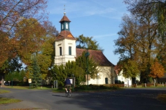 p1000066