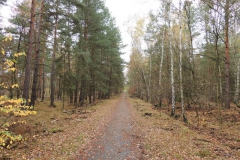 dscn3697