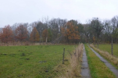 p1000121