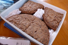 p1000132