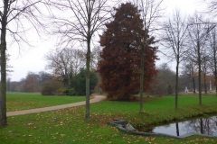 p1000153