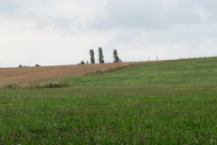 img_0840