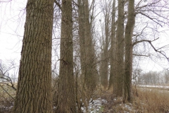 dscn2513