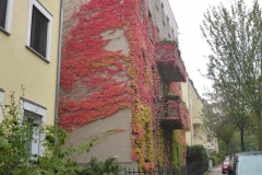 p1020383
