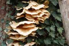 p1020408