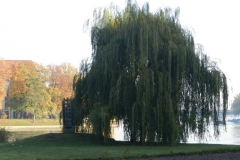 dscn3580