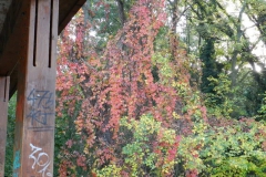 dscn3584