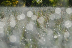 dscn3591