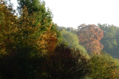 dscn3594