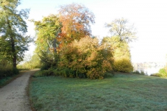 dscn3600