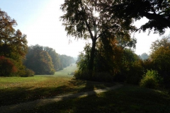 dscn3608