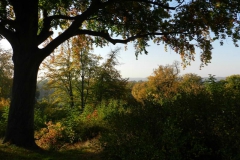 dscn3609