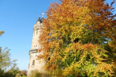 dscn3611
