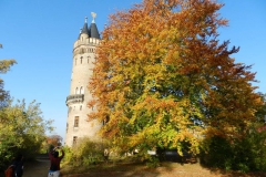 dscn3612