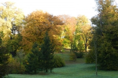 dscn3616