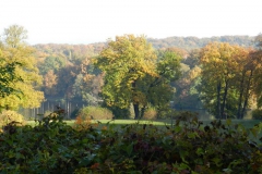 dscn3636