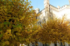 dscn3645