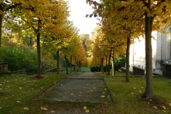 dscn3646