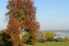 dscn3660