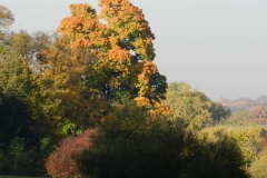dscn3668