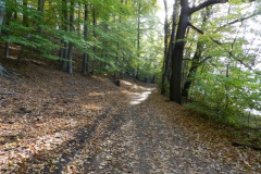 dscn3680