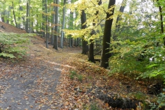 dscn3685