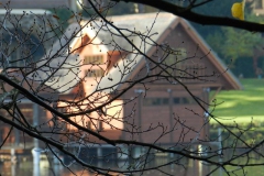 dscn3689