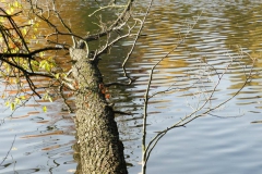 dscn3693