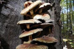 dscn3698