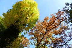 dscn3703