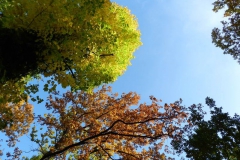 dscn3704