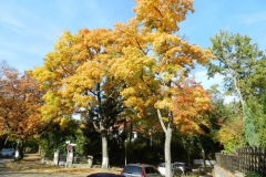 dscn3706