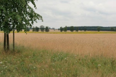feld2