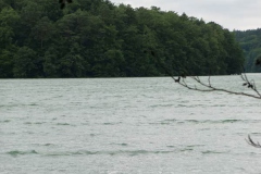 kalksee