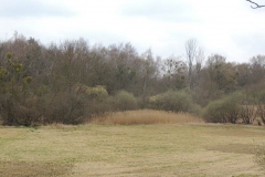 dscn3942