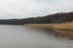 dscn3947