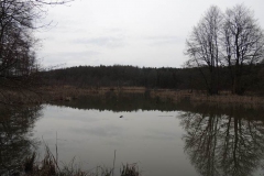 dscn3956 dscn3956