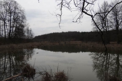 dscn3957 dscn3957