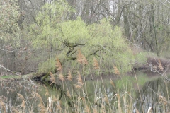 img_0076 img_0076