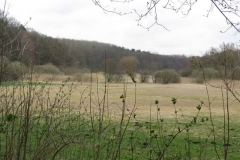 img_0105 img_0105