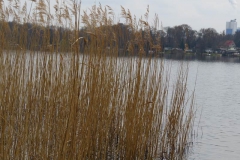 img_0112 img_0112