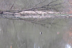 img_0126 img_0126