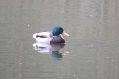 img_0127 img_0127