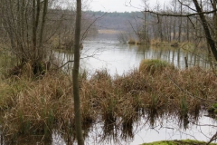 img_0130 img_0130