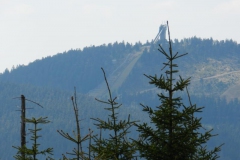 069_12