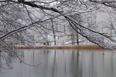 p1000255